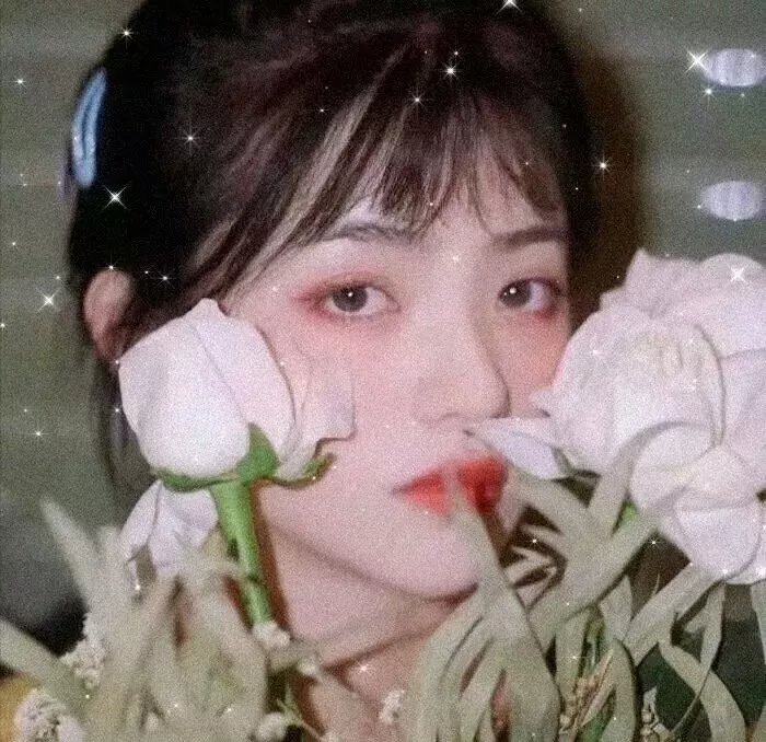 首尔单身日记